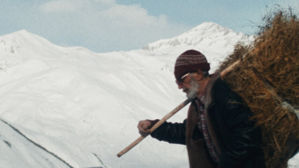 Un fotogramma di uno dei film proiettati