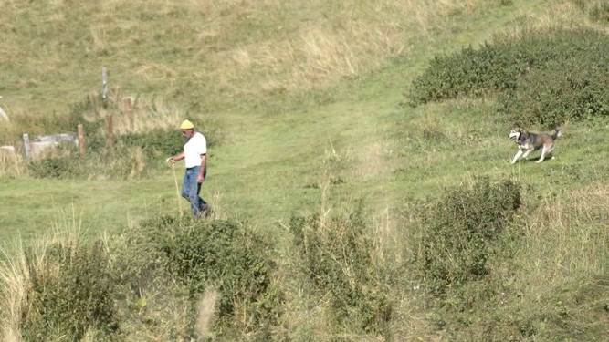Un fotogramma di uno dei film proiettati